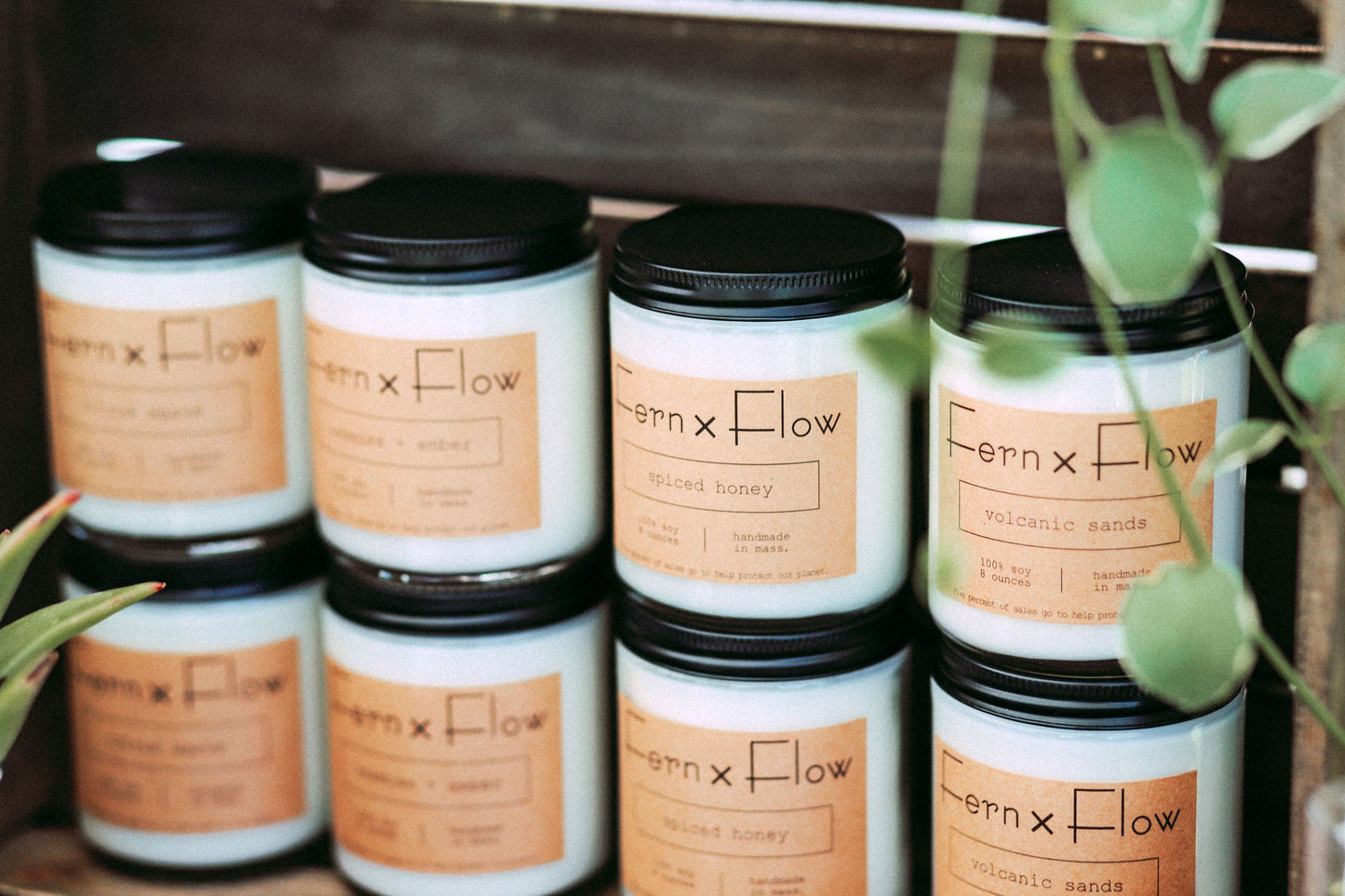 Fern x Flow Signature soy Candle Collection table display at a local farmer's market in Boston..