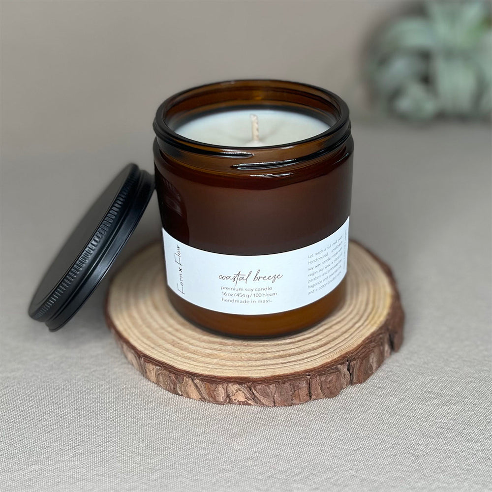 Fern x Flow 16oz Coastal Breeze scented summer soy candle on a rustic wooden riser with a large air plant out-of-focus in the background.