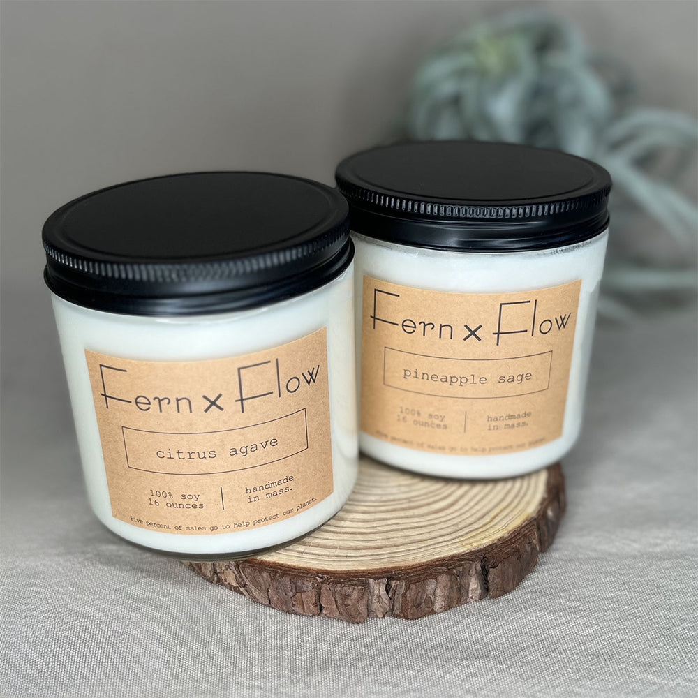 Fern x Flow 16oz Sweet and Citrusy vegan soy candle bundle and gift set featuring Citrus Agave and Pineapple Sage scented soy candles.