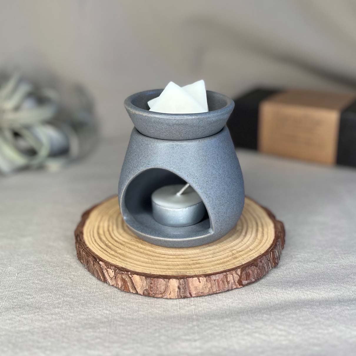 Fern x Flow handmade stoneware essential oil and wax melt warmer in slate gray on a rustic wooden riser with a large air plant in the background.